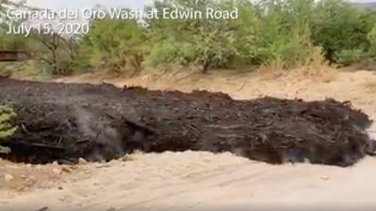 Watch now: 2020 flash flood carries Bighorn runoff in Cañada del Oro Wash